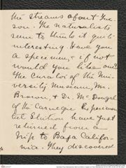 Nachlass Franz Steindachner, Brief von Ethel A. Hopper an Franz Steindachner (07.04.1907), Inv.Nr. 237.06, Seite 7